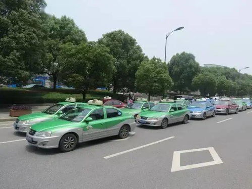 这位出租车司机,有人特地打电话到桐庐,要谢谢你