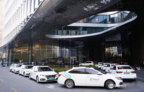 杭州出租车行业协会公布首批网约车不良行为共享约束名单,对155人采