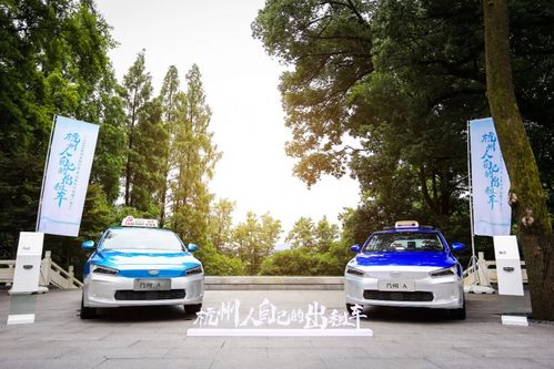 杭州人自己的出租车 2020杭州吉利几何a出租车行业推广会圆满举行